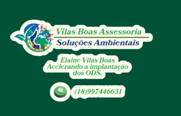 Vilas Boas Logo
